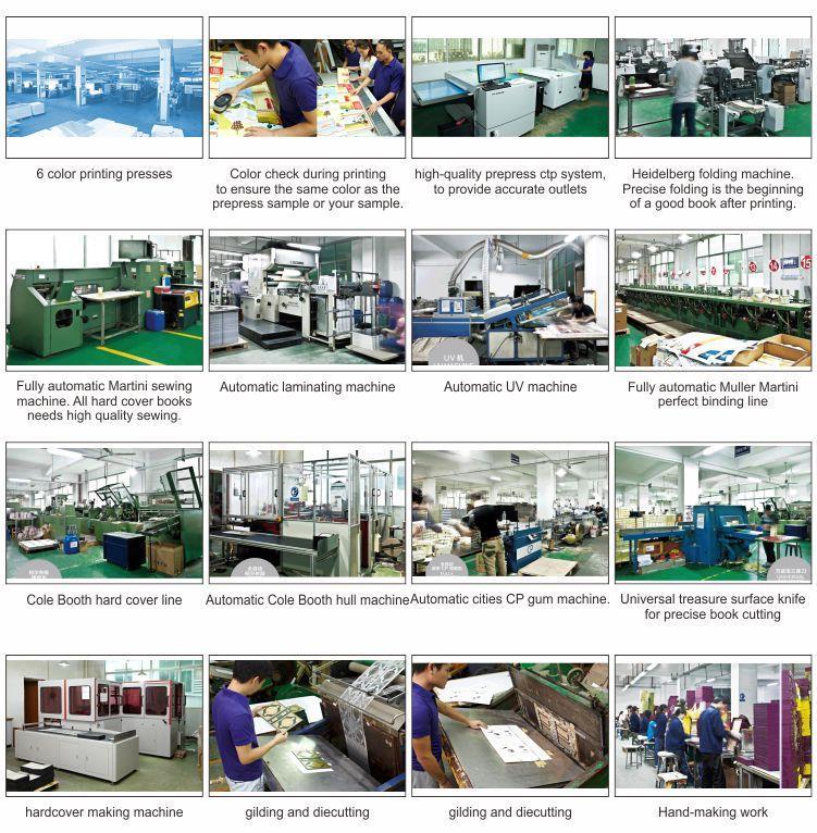 Hệ thống ctp prepress chất lượng cao, cung cấp các cửa hàng chính xác, đó là sự đảm bảo cơ bản cho kết quả in tốt