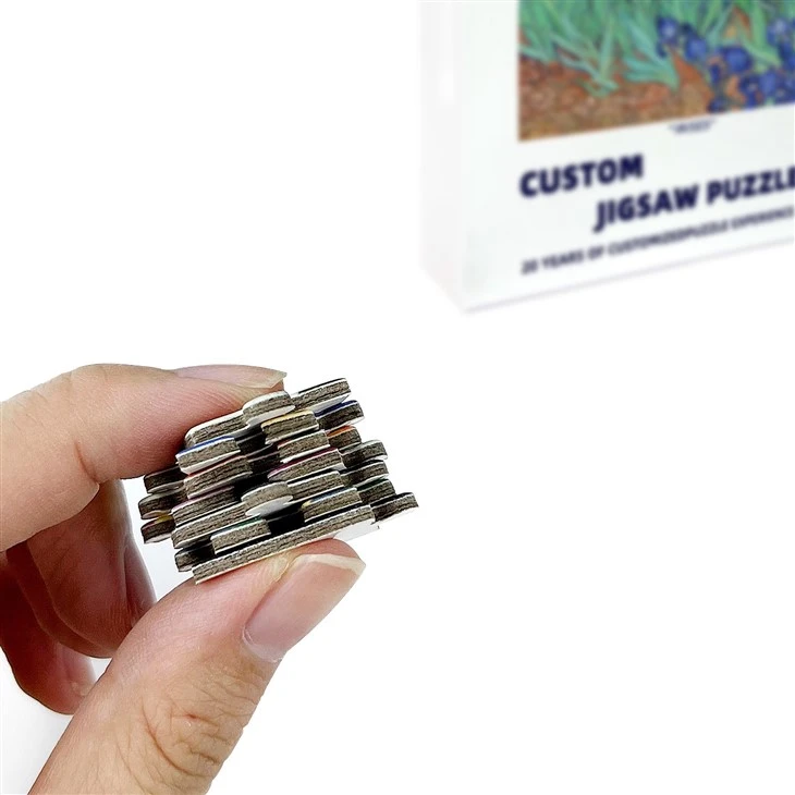 The Oil On Canvas Puzzle